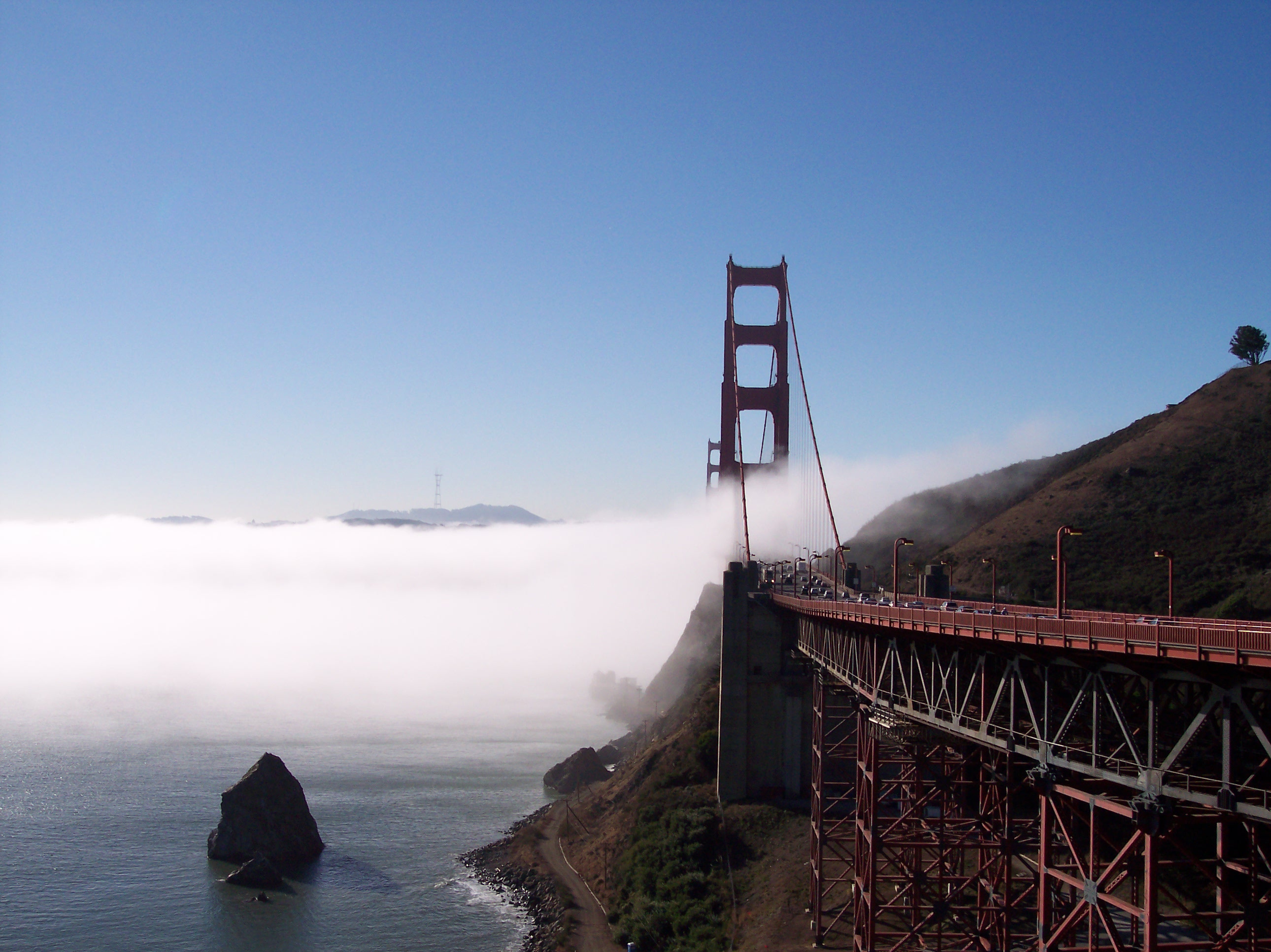 Bridge-fog-bay